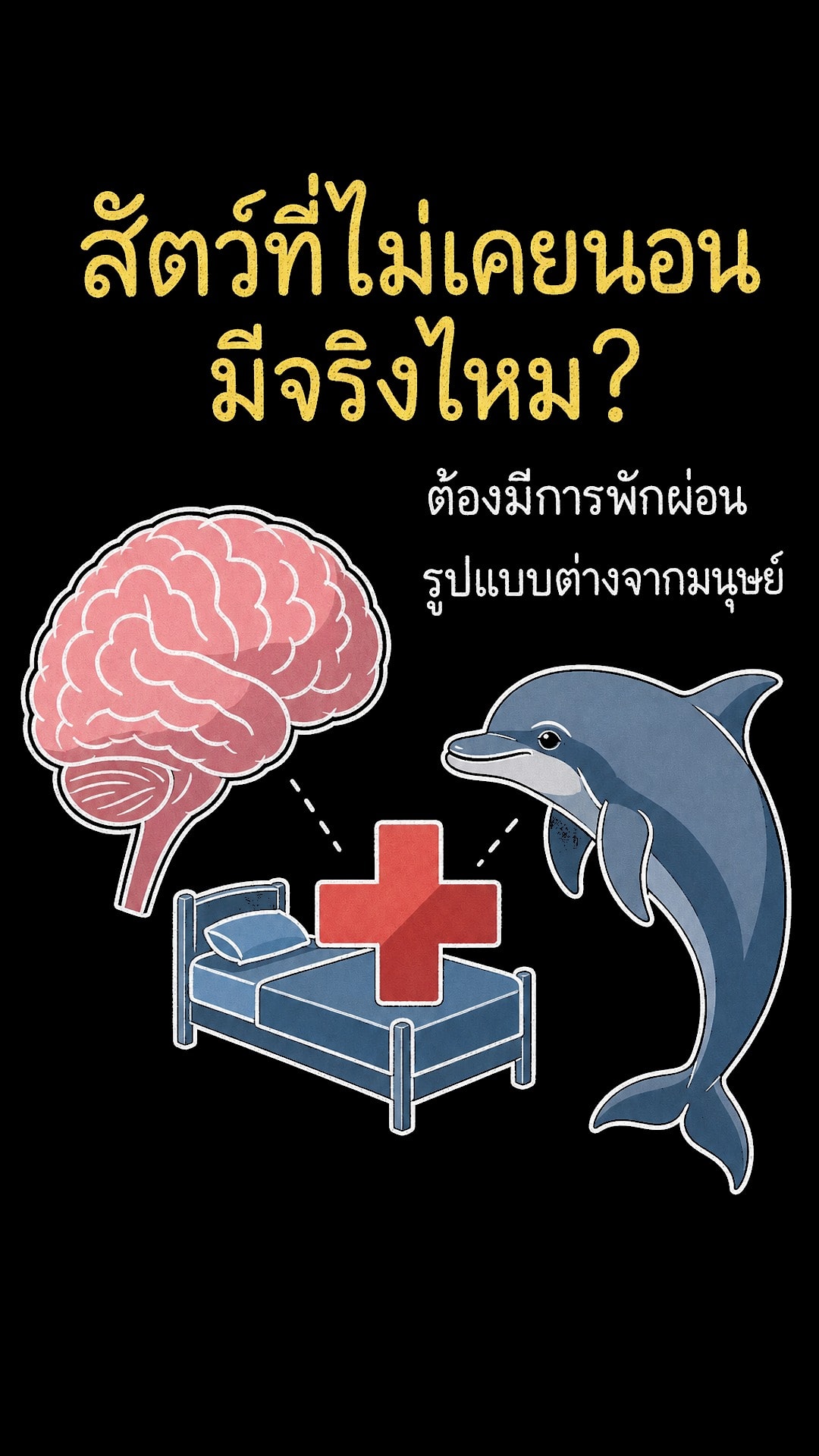 ศิลปะแห่งการพักผ่อน: เมื่อสัตว์ไม่ได้ 'หลับ' เหมือนอย่างที่เราเข้าใจ