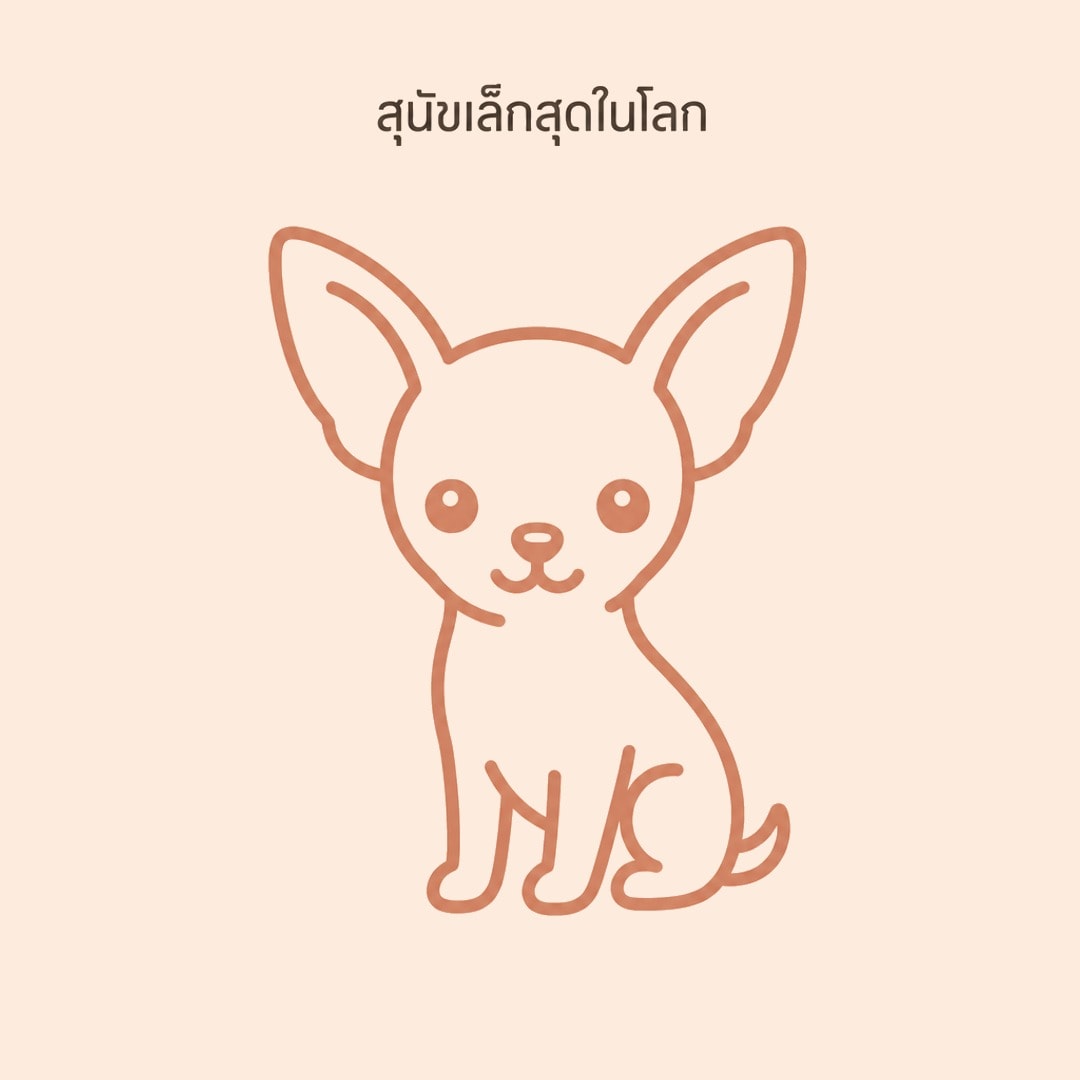 เจาะลึกเบื้องหลังชิวาวา: สุนัขตัวจิ๋วกับรากประวัติศาสตร์เมโสอเมริกา